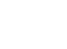 police zebra